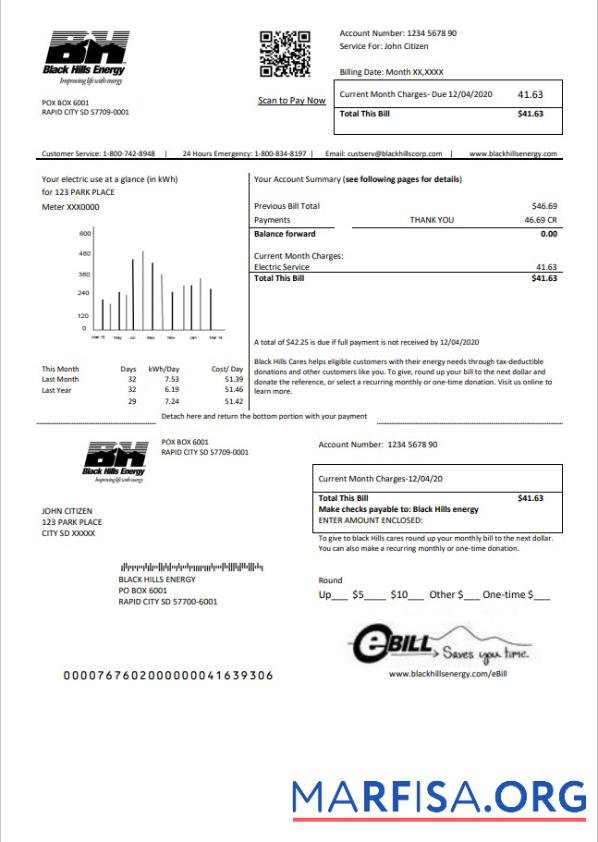 Realistic USA South Dakota Black Hills Energy utility bill template in Word and PDF format